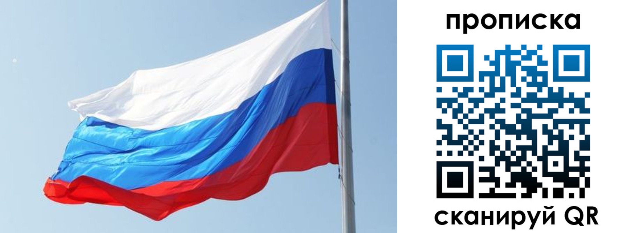 прописка для школы в Бокситогорске